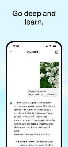 ChatGPT官网版下载-Chatgpt手机版下载 Hero图